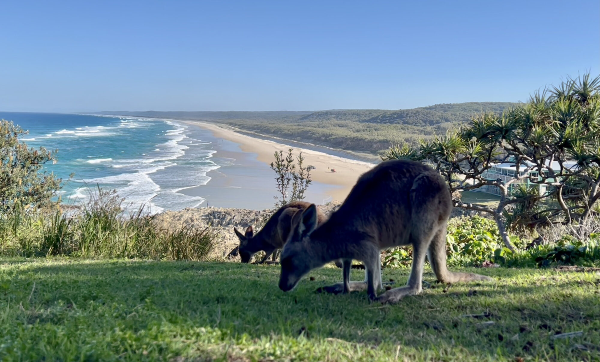 North Stradbroke Island, Australien